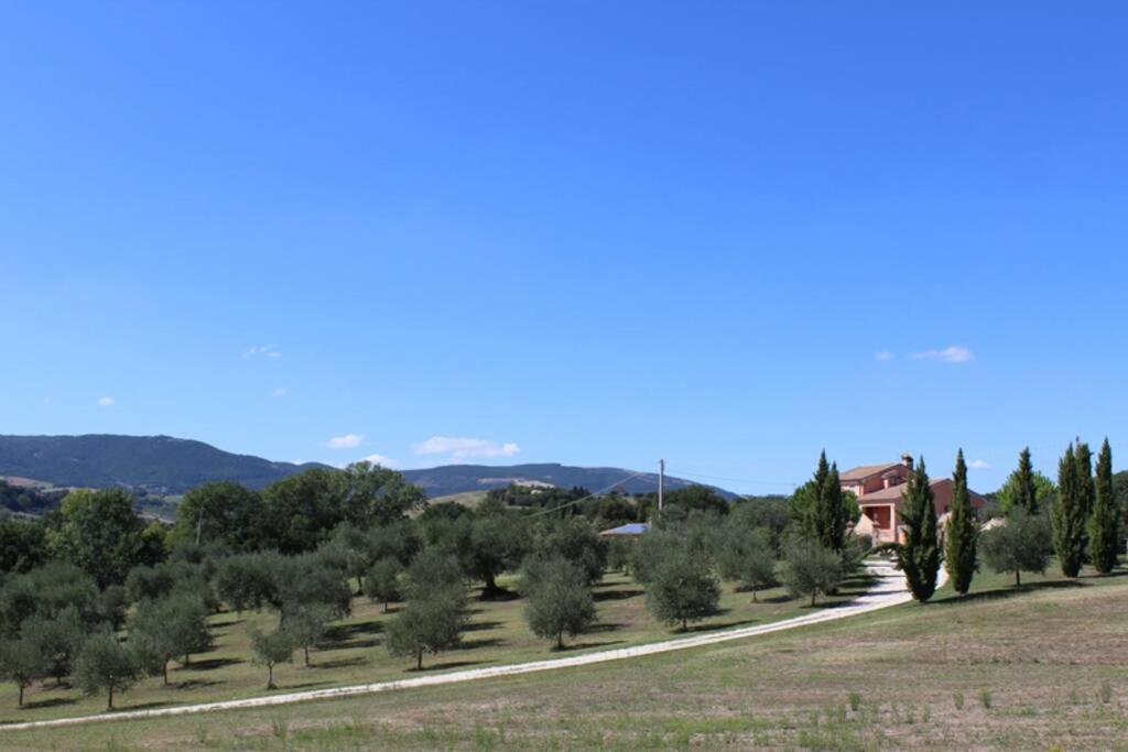 Treia Casa Kikenda, Viaggio Nella Natura מראה חיצוני תמונה