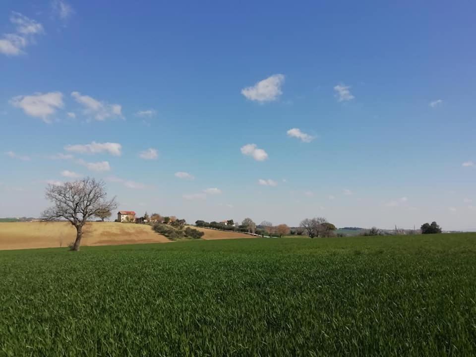 Treia Casa Kikenda, Viaggio Nella Natura מראה חיצוני תמונה