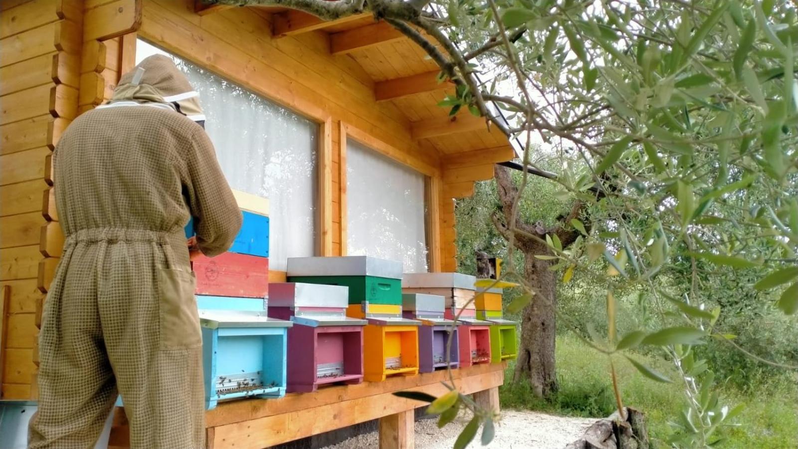 Treia Casa Kikenda, Viaggio Nella Natura מראה חיצוני תמונה